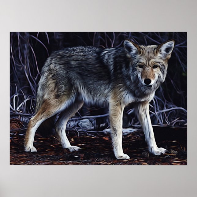 Wolf Wolves Beautiful Watercolor  Poster (Front)