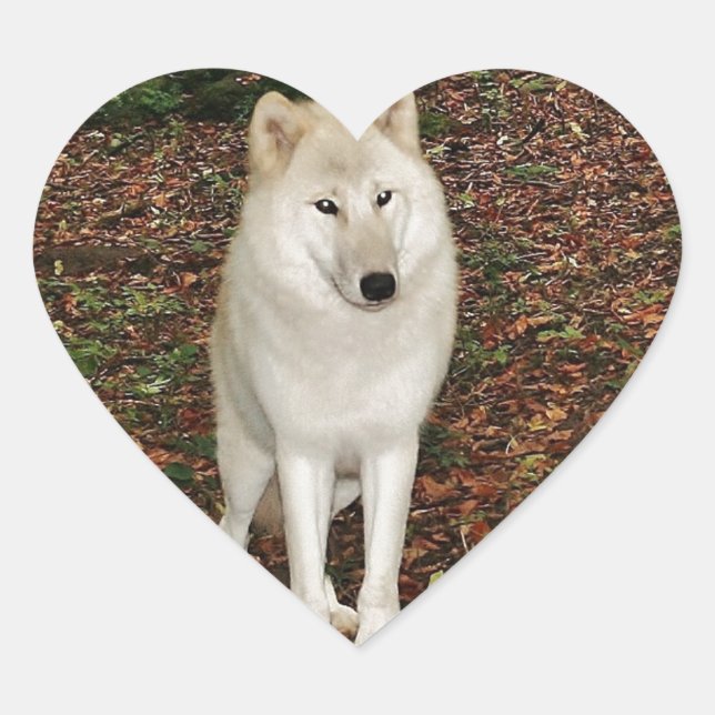 Wolf Wolves Nature Park Country Animal Wild Forest Heart Sticker (Front)