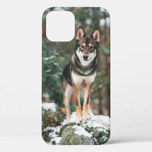 Wolfdog iPhone 12 Case (Back)