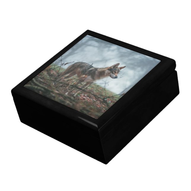 Wolfdog Jewelry Box (Side)