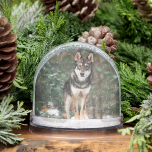 Wolfdog Snow Globe