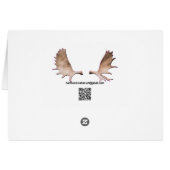 Wolfpack Cards (Back Horizontal)