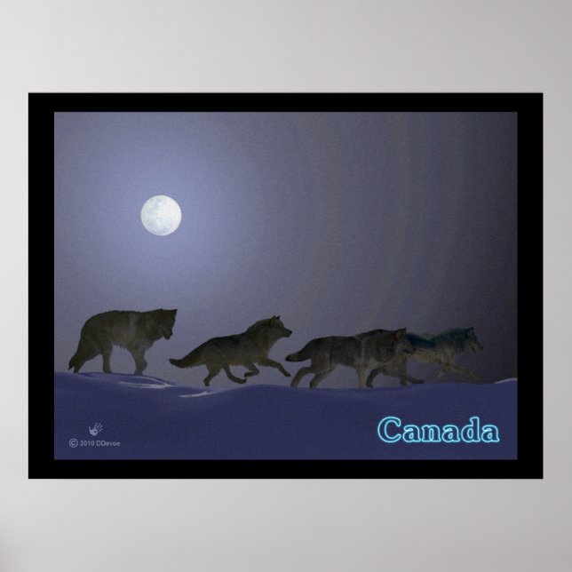 Wolfpack Poster (Front)