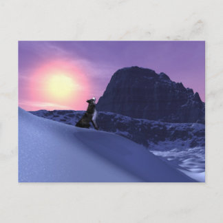 wolfsong postcard
