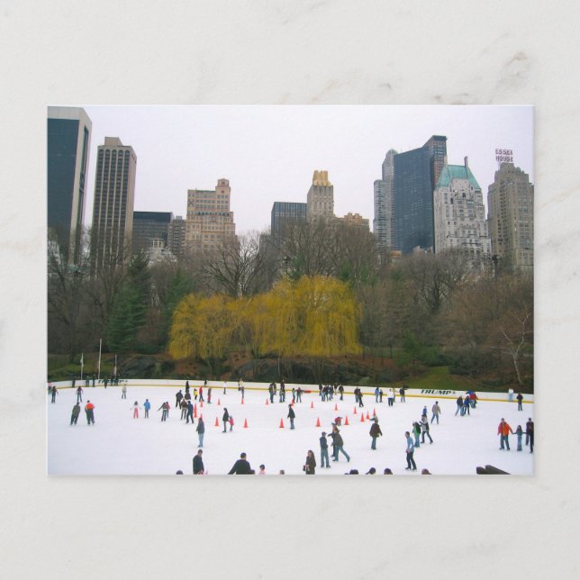 Wollman Ice Rink Central Park NYC New York City Postcard (Front)