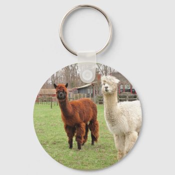 Wolly Alpacas ~ Keychain by Andy2302 at Zazzle