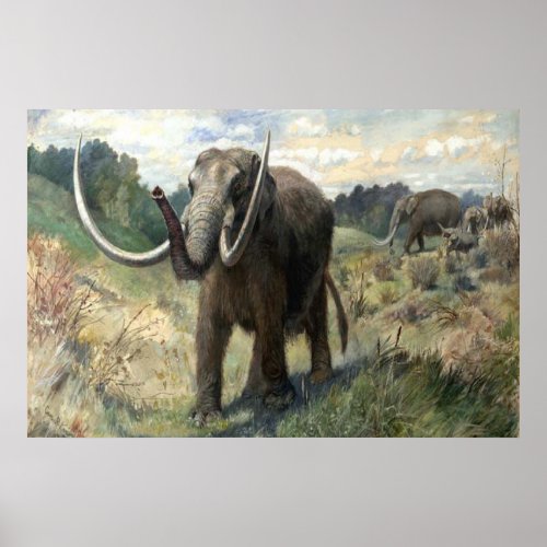 Wolly Mammoth Poster