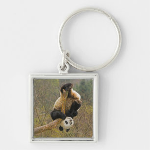 Wolong Panda Reserve, China, 2 1/2 yr old Keychain