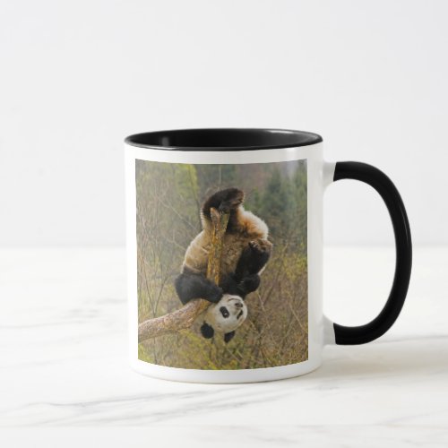 Wolong Panda Reserve China 2 12 yr old Mug