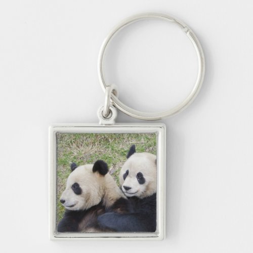 Wolong Reserve China Giant panda hugging Keychain
