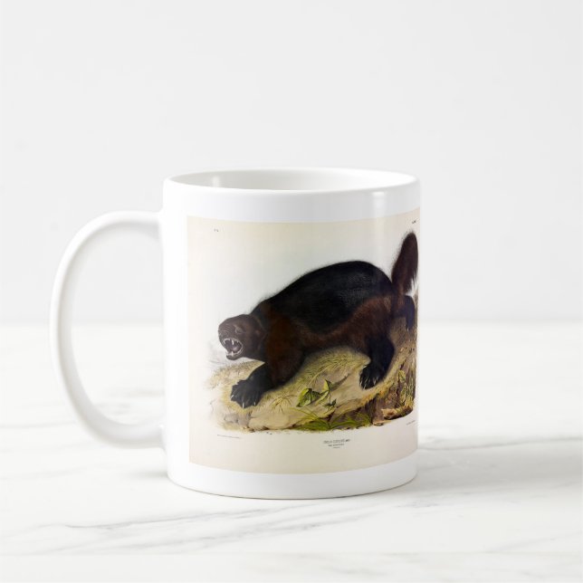 Wolverine or Wolverene (Gulo gulo) by Audubon Coffee Mug (Left)