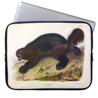 Wolverine or Wolverene (Gulo gulo) by Audubon Laptop Sleeve
