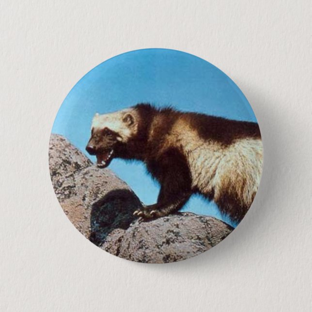 wolverine pin!! pinback button (Front)
