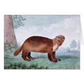 Wolverine vintage art (Front Horizontal)