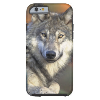 Wolves Tough iPhone 6 Case
