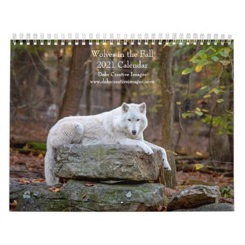 Wolves in Fall 2021 Calendar
