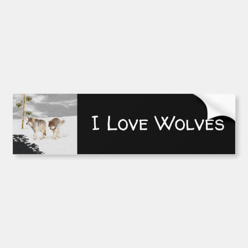 Wolves in Snow Painting _ Original Wildlife Art Bumper Sticker