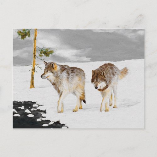 Wolves in Snow Painting _ Original Wildlife Art Postcard