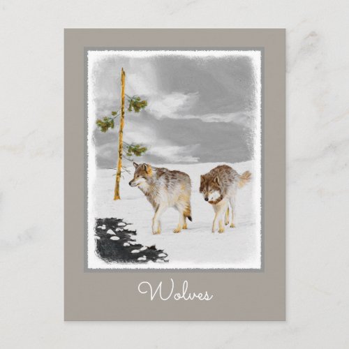 Wolves in Snow Painting _ Original Wildlife Art Postcard