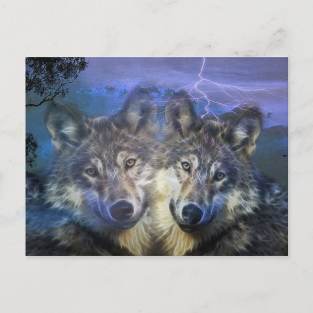 Wolves in the night postcard (Front)