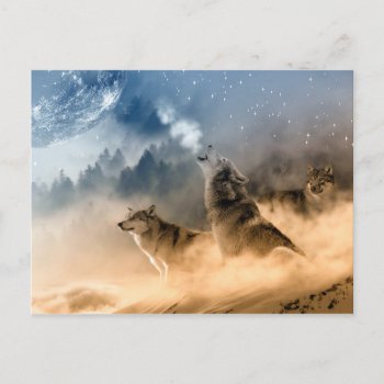 Wolves Moon Fog Nature Scenery Postcard by biutiful at Zazzle