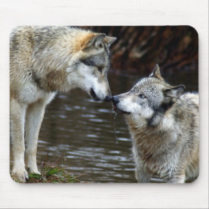 Wolves - Nose to Nose Mouse Pad