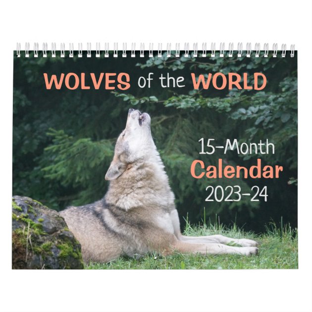 Castles Calendar 2026 FULL SIZE 12x24 Made in USA