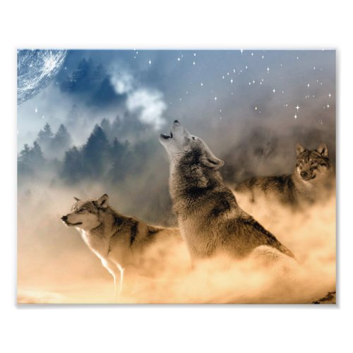 Wolves Photo Art Print