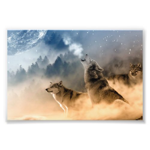 Wolves Photo Art Print