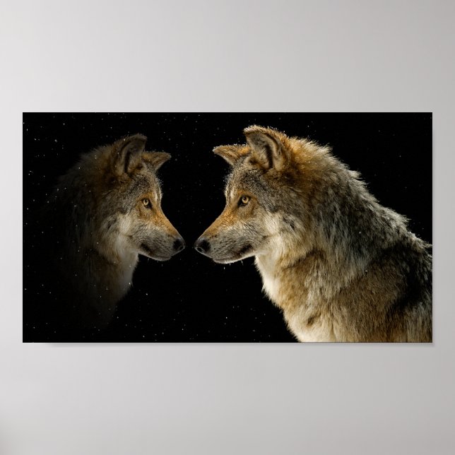 Wolves Poster (Front)