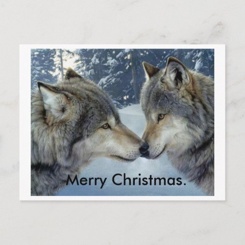 wolves rubbing noses merry Christmas post cards Holiday Postcard
