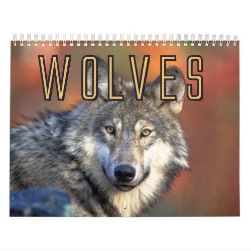 Wolves Wall Calendar