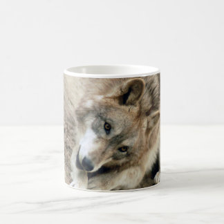 Wolves Wolf Mug