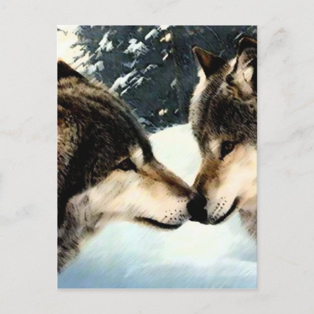Wolves Wolf  Snow Winter Snow Couple Love Postcard (Front)