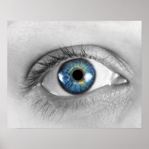 Woman eye poster