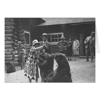 Woman feeding bears with a group of people in fron cards