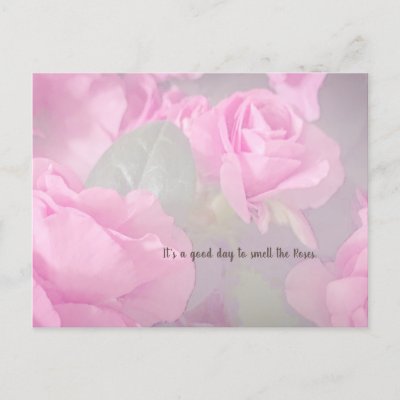 Woman Floral Pink Rose Garden Birthday Postcard