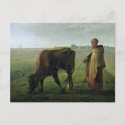 Woman Grazing her Cow 1858 Postcard