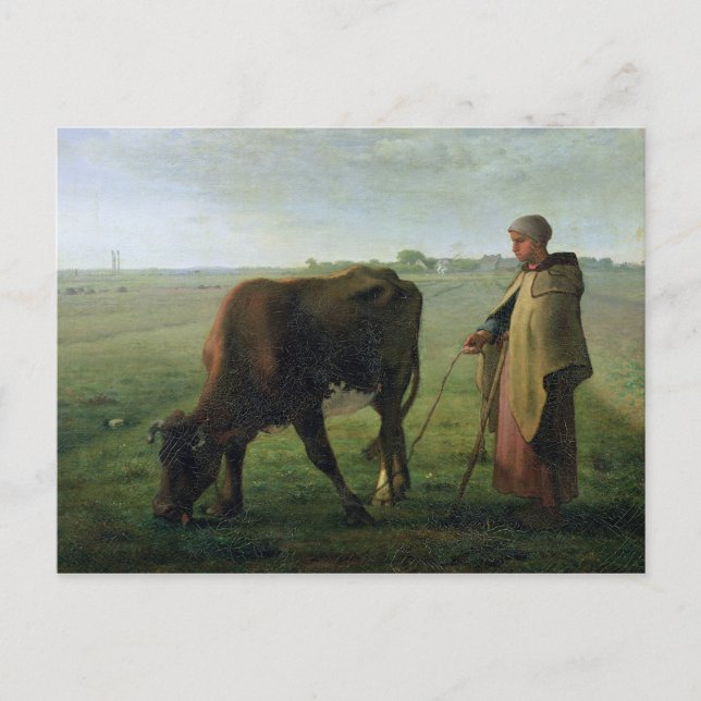 Woman Grazing her Cow, 1858 Postcard (Front)