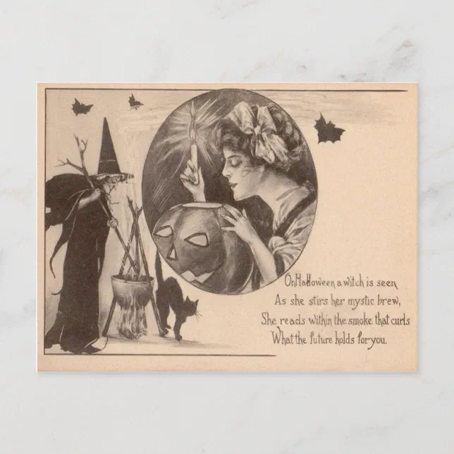 Woman Jack O' Lantern Witch Black Cat Postcard | Zazzle