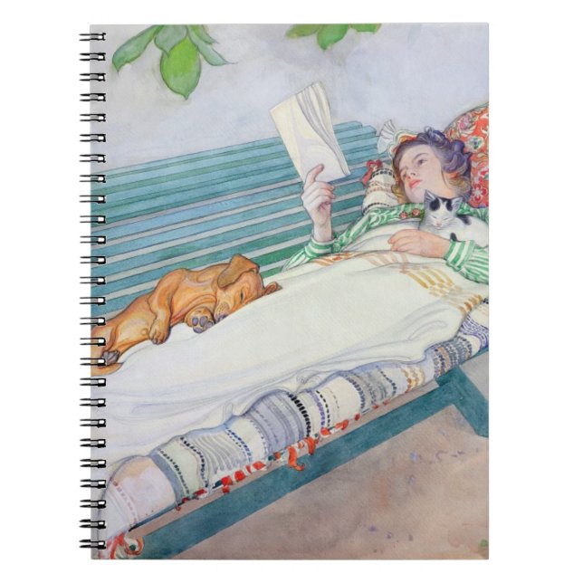 Woman Lying on a Bench, 1913 (w/c on paper) Notebook (Front)