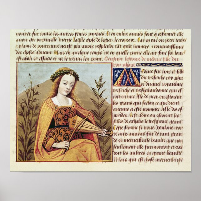 Woman playing a viol poster (Front)