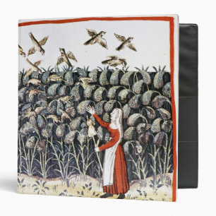 Woman Protecting her Crop of Millet 3 Ring Binder