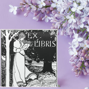 Woman Reading Art Nouveau   Glass Coaster