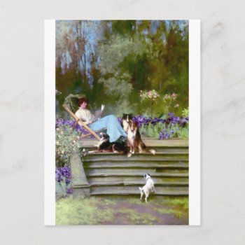 Woman Reading With Collie Dogs Postcard by EDDESIGNS at Zazzle