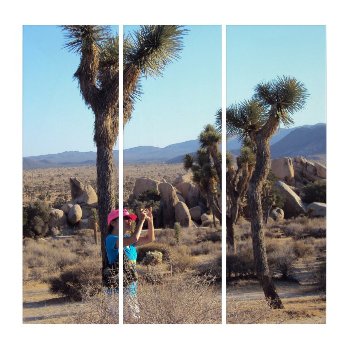 Woman Taking Photos At Joshua Tree Triptych