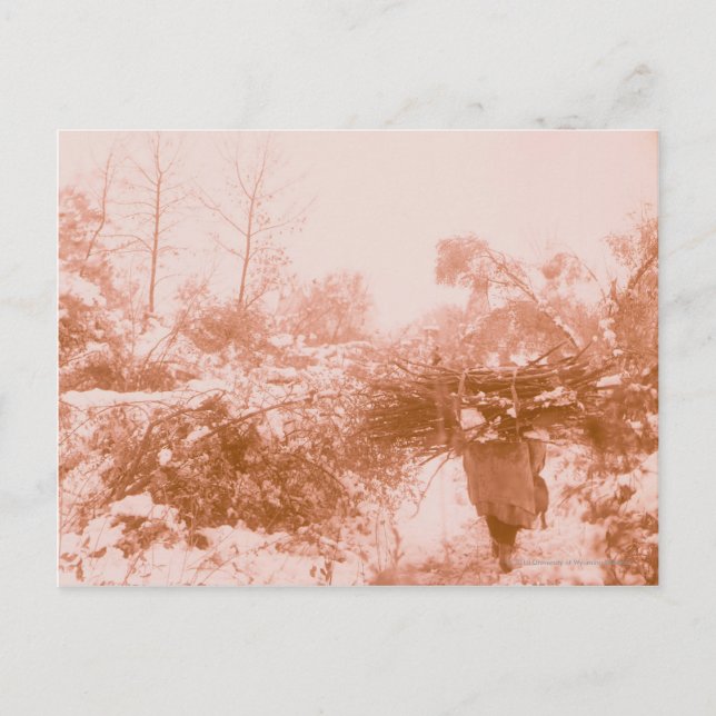 Woman Wood Gatherer Postcard (Front)