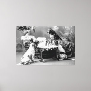 Woman's Best Friends Care for Her While Ill 1903 Canvas Print