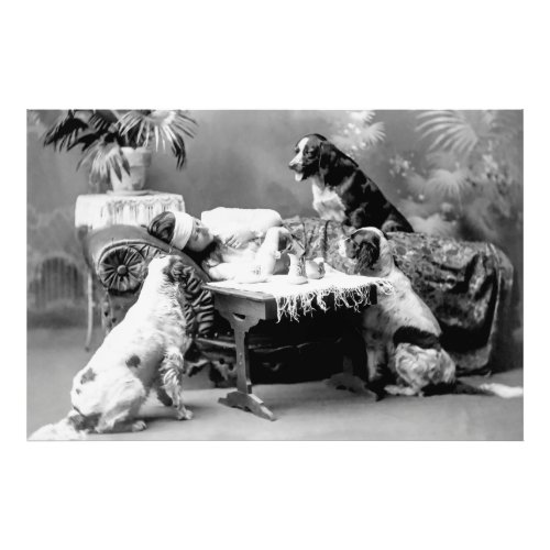 Womans Best Friends Care for Her While Ill 1903 Photo Print