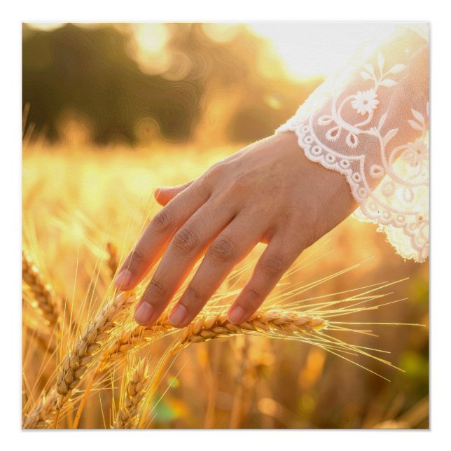 Woman's Hand Touching Wheat Tassels Poster (Front)